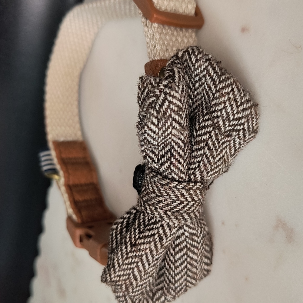 Best Behavior Dog Collar